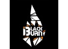 Табак для кальяна Black Burn (Блек Берн) 250г купить на Бали и в Индонезии