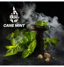 Табак BlackBurn Cane Mint (Перечная Мята) 100г