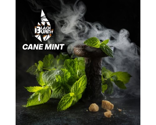 Табак для кальяна BlackBurn Cane Mint (БлэкБерн Перечная Мята) 100г купить на Бали