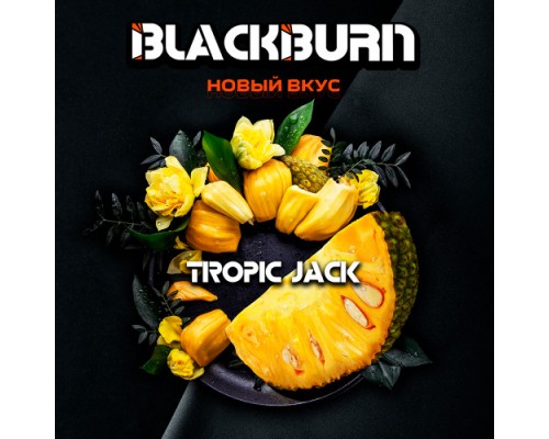 Табак для кальяна BlackBurn Tropic Jack (БлэкБерн Джекфрут) 100г купить на Бали