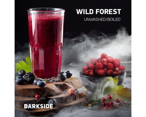 Табак для кальяна Darkside Core Wild Forest (Дарксайд Кор Вайлд Форест) 100г купить на Бали